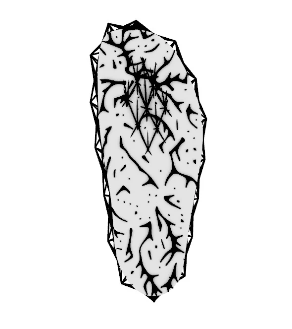 Insole pattern from above